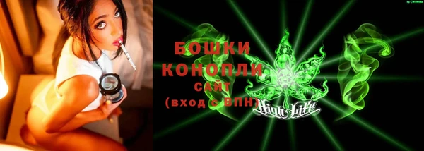 крисы Дмитриев