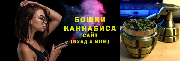 крисы Дмитриев